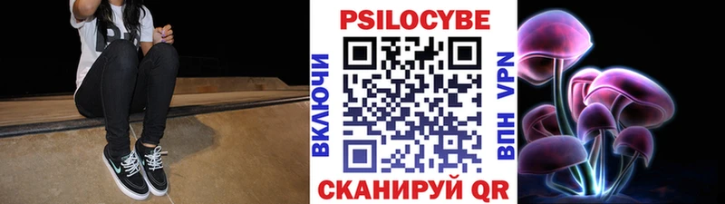 Купить  Городец  Псилоцибиновые грибы Psilocybe 